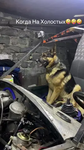 #мото #deutschland #top5