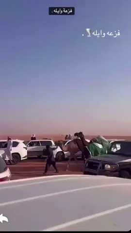 #اكسبلور #صياهد_عبدالعزيز_للإبل8 #صيهد_منيف 