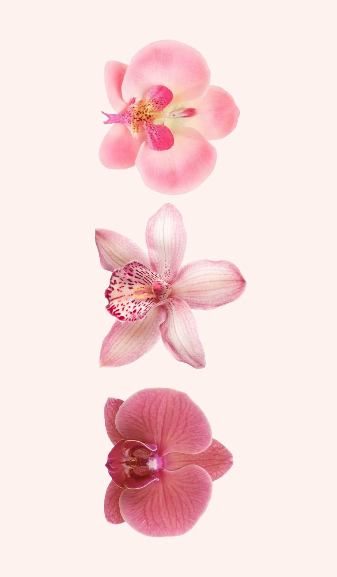 ts healed me💔💔#fypシ #foryoupage #matchalover 