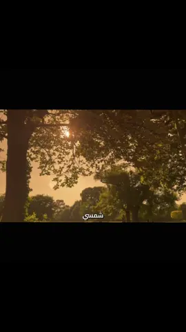 راح خبي شمسي بعيونك ❣️ #راح_خبي_شمسي_بعيونك #تصاميم_فيديوهات🎵🎤🎬 #الشمس #حب #Sing_Oldies 