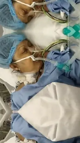 ####🌾🌾🌾🌾🌾🌾🌾🌾🌾🌾🌾🌾 