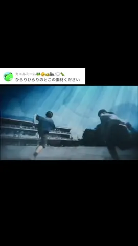 素材提供　自分で好きにカットして使ってください #素材 #動画 #いいこと悪いこと #アゲハ蝶 