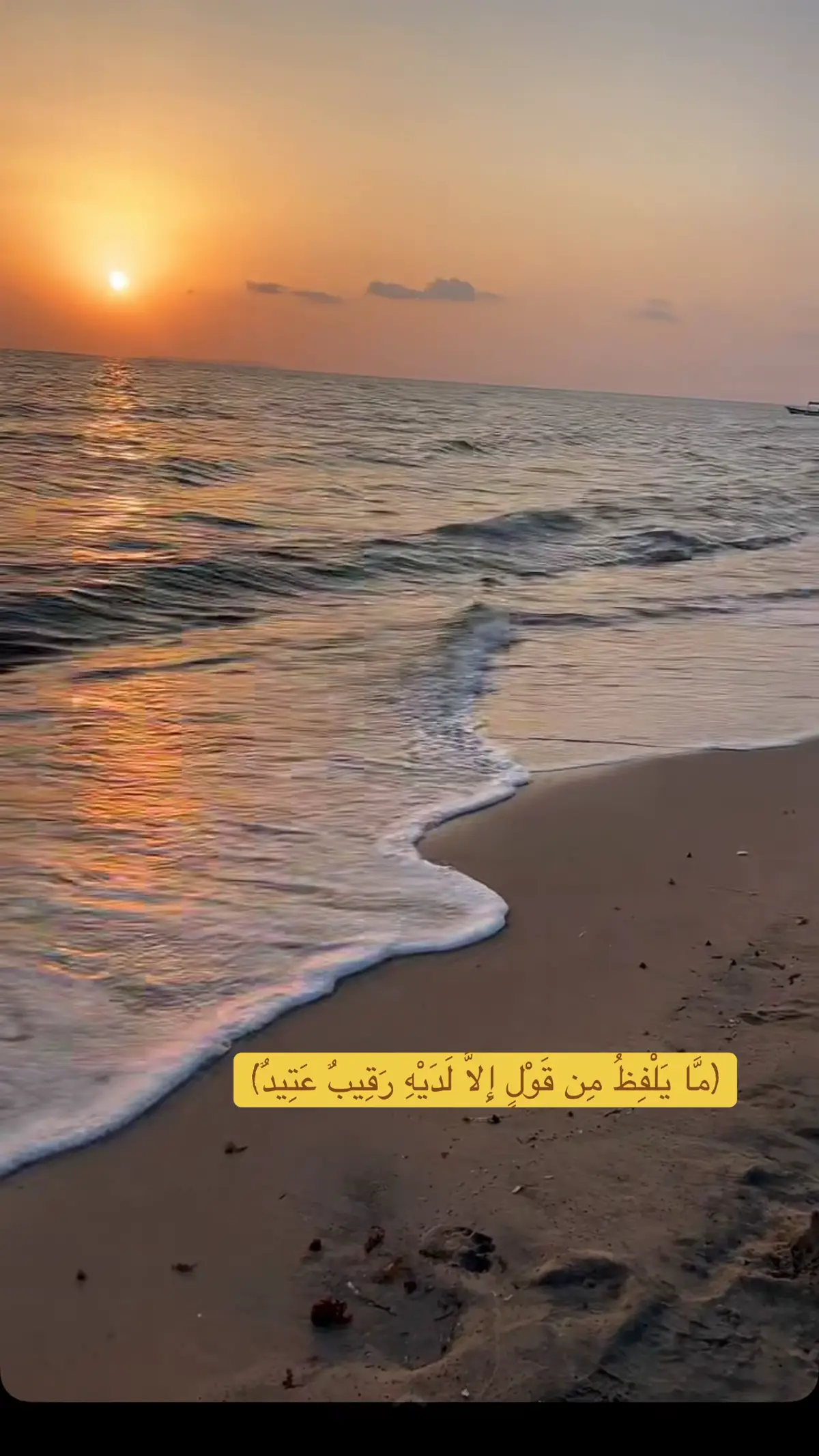 #قرآن_کریم #explore #اكسبلور #تلاوه_خاشعه #foryou 