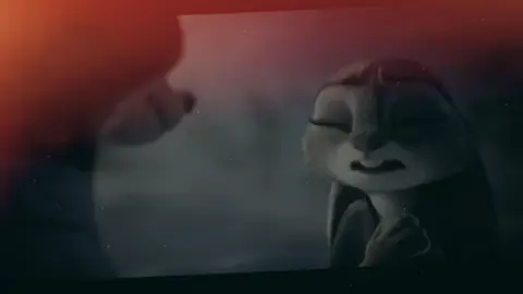 Định luật nào cấm thỏ yêu cáo 🥹