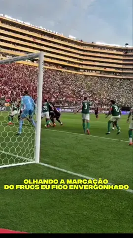 merdaaaaa #palmeiras 