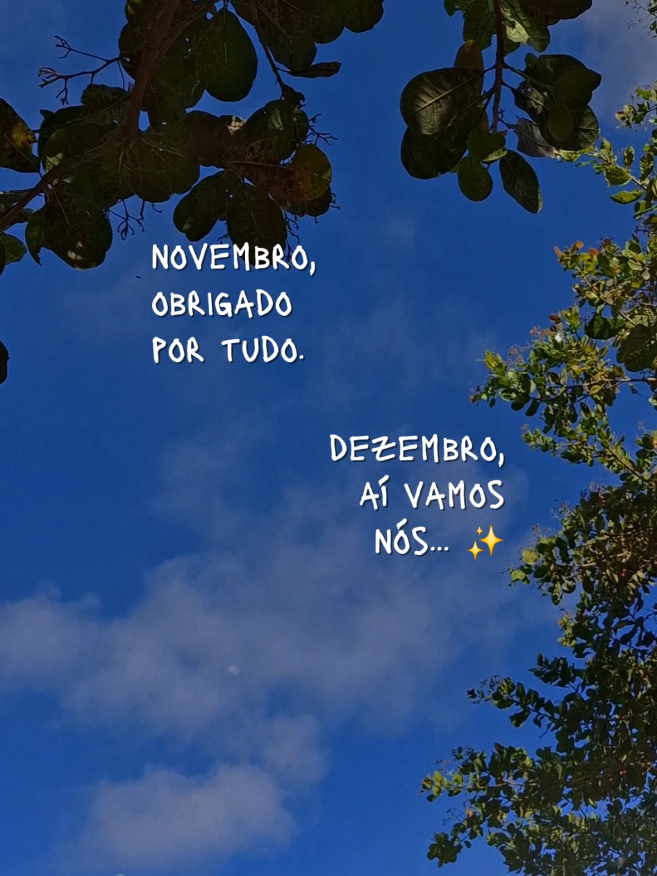 Obrigado, Novembro ✨️ #Novembro #bemvindoDezembro #momentos #dump #CapCut 