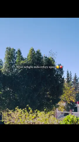 Nbghi m3a rohi njm3 😔#fyyyyyyyyyyyyyyyyyyy #aboni💙 