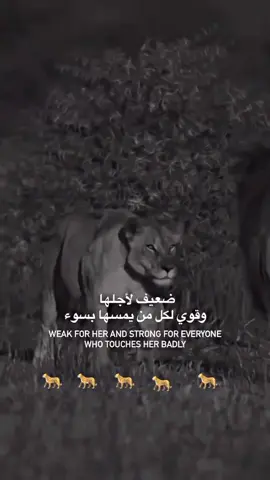 انت وين ما راح تروح تاخدني معك