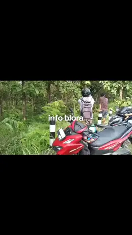 mobil avanza plat cepu blora mengalami laka tunggal di timurnya kayangan api kecamatan ngasem bojonegoro