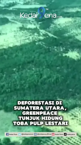 VIDEO: Deforestasi Masif di Sumut, Greenpeace Tunjuk Hidung Toba Pulp Lestari  KedaiPena.Com – Greenpeace menilai deforestation masif terjadi sejak tahun 90-an di Sumatera Utara. Ada tiga jenis usaha yang menyebabkan pengurangan cakupan hutan yakni hutan produksi, sawit dan tambang. Greenpeace sendiri menuding perusahaan Toba Pulp Lestari sebagai salah satu perusak lingkungan yang menyebabkan banjir bandang di Sumut. Demikian dikatakan Kepala Global Kampanye Hutan Indonesia Greenpeace Kiki Taufik dalam perbincangan dengan Kompas TV, belum lama ini. Selengkapnya:  https://www.kedaipena.com/video-deforestasi-masif-di-sumut-greenpeace-tunjuk-hidung-toba-pulp-lestari/ #kedaipena #kedaipenadotcom #kedaikreatif 