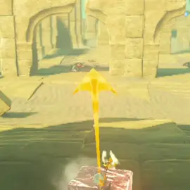 Profe, tiene pne? #thelegendofzelda #link #zeldabotw #tearsofthekingdom #zeldabotw 