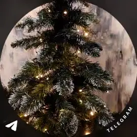 новый годи#новыйгод2026 #хочувскатим #вскатим #skatteam #skateam @skat_team_official 