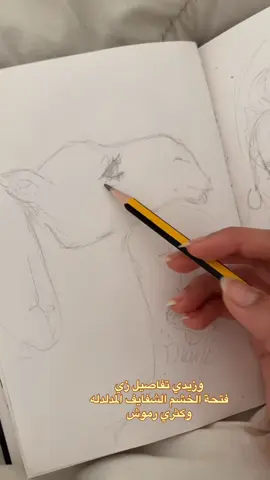 الرد على @zagii.20 اذا ضبط الخطم والعين يضبط الجمل🐪🐪#رسم #fypシ #drawing #tutorial #ناقه 