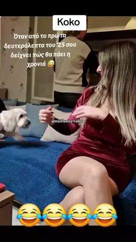 😂😂😂😂 #viralvideos #humor #viraltiktoks #albania #niofunnyvideo 