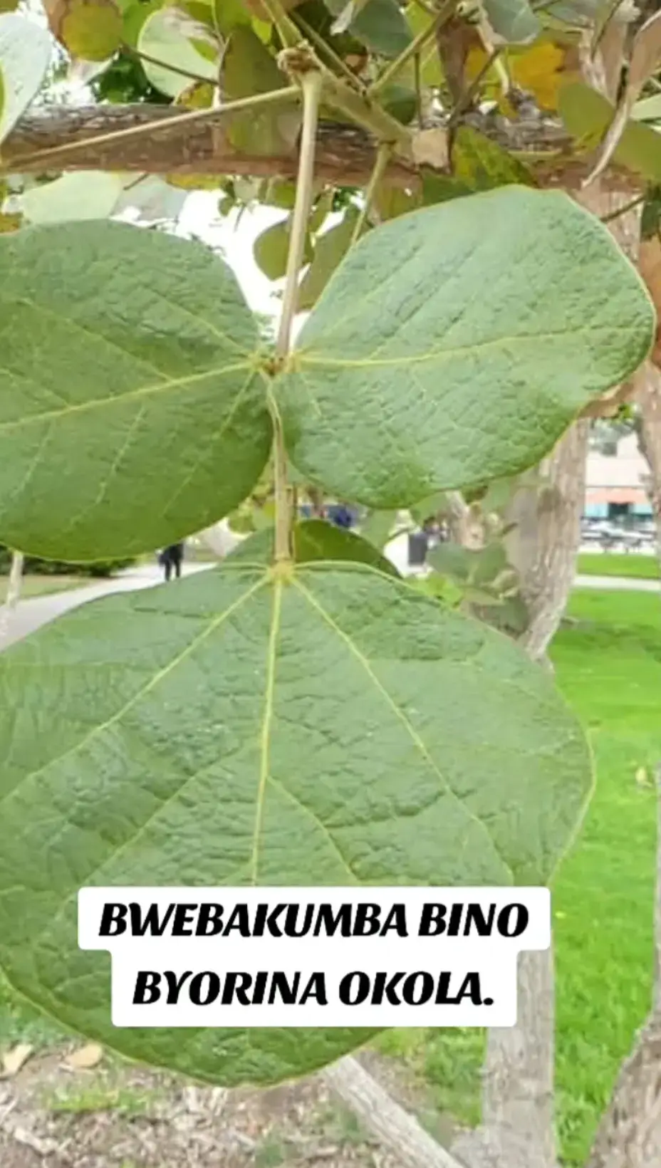 #fyppyaaa #fyppyaaa #fyppyaaappppppyyfff #fyppyaaappppppyyfff #fyppyaaappppp