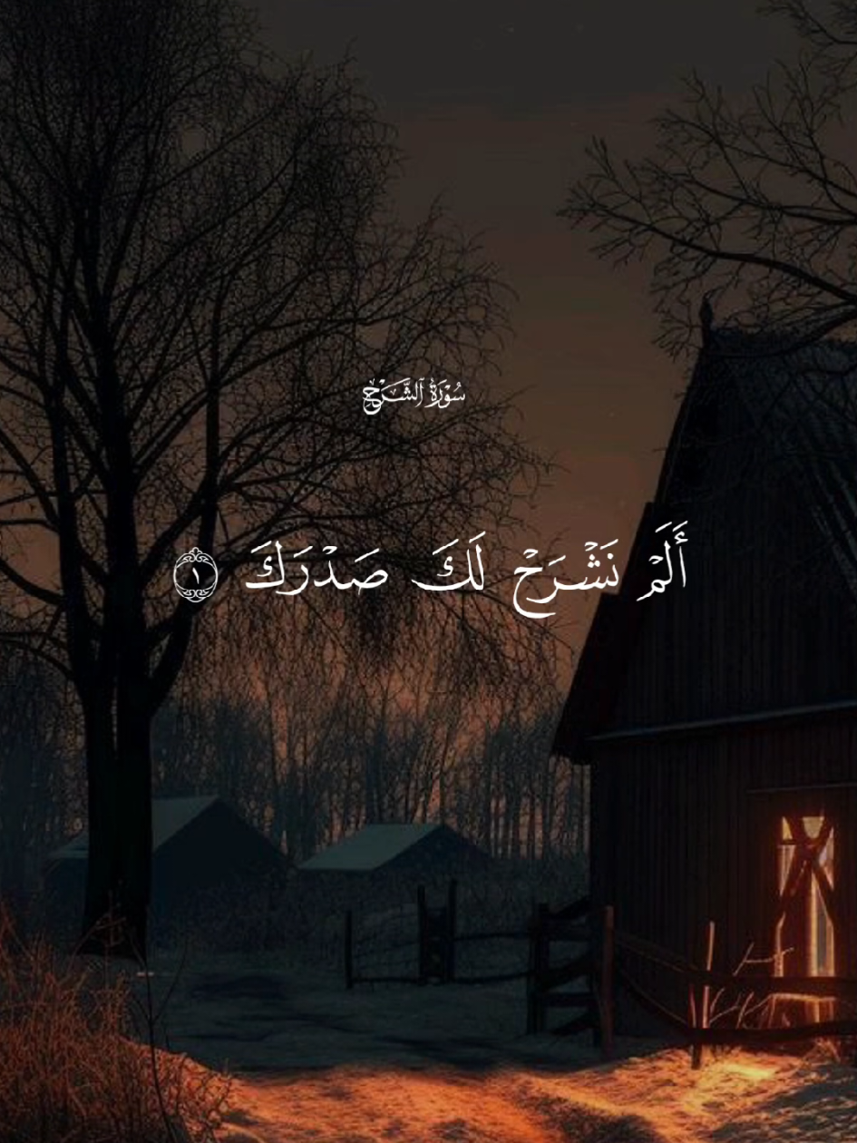 سورة الشرح🤍 #قران #quran #قران_كريم #Allah #اللهم_صلي_على_نبينا_محمد 