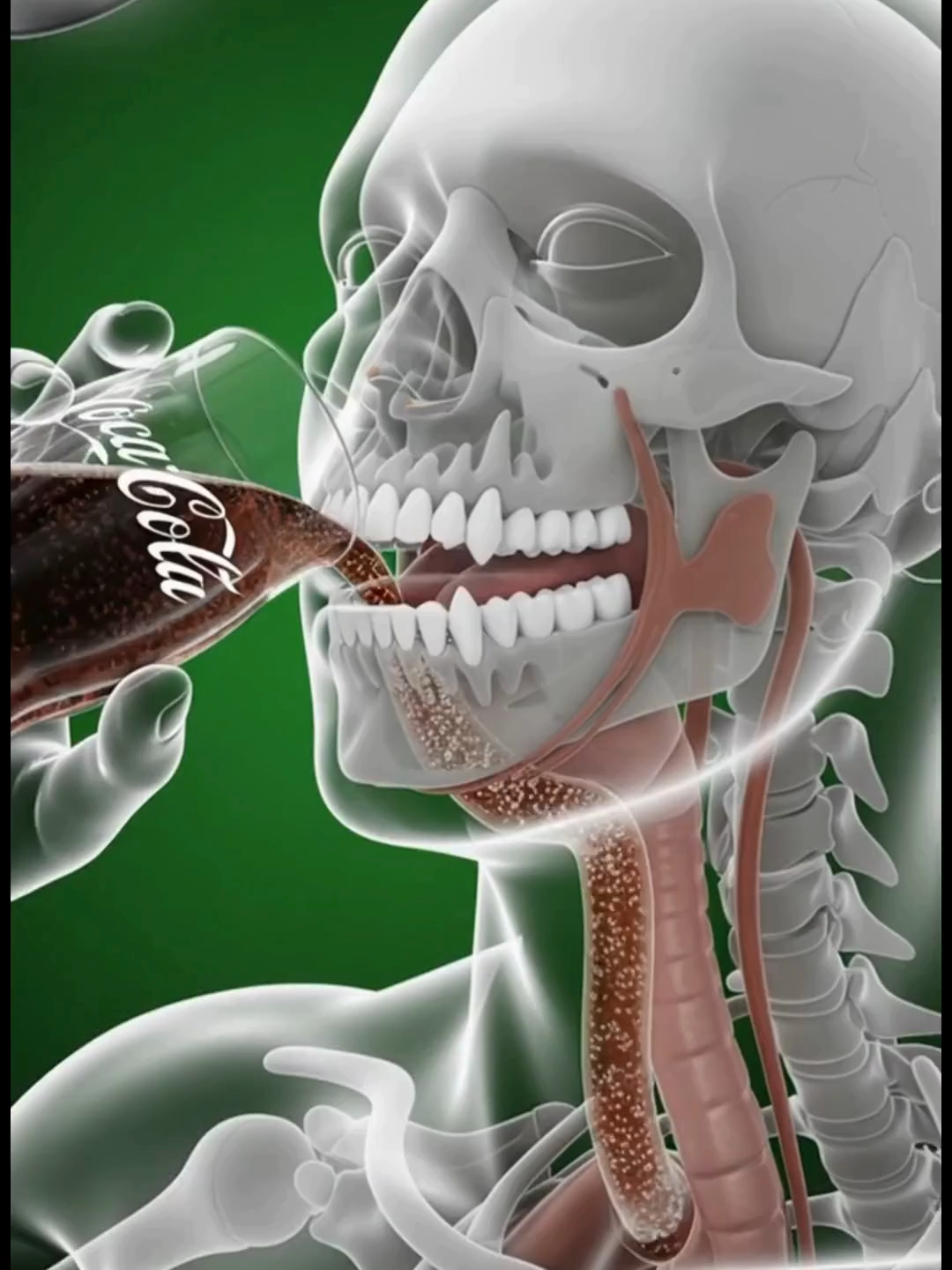 Lo que la COCA-COLA le hace a tu ESTÓMAGO 😳🔥 Míralo hasta el final… te vas a sorprender. 🥤 Ácido fosfórico atacando 💥 pH bajando en segundos ⚡ Azúcar entrando directo en la sangre 👉 Mañana: ¿Qué pasa con AGUA con LIMÓN? 🍋 Sígueme para no perderte la serie. #cocacola #digestión #fyp #parati #viral #salud #ciencia #cuerpohumano #3danimation #estómago #curiosidades #aprendecontiktok