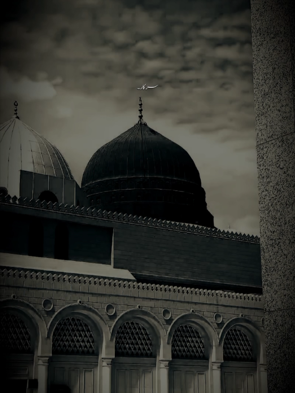 قبر میں سرکار آئیں 🤲 . . . #trendingsound #oldnaat #creatorsearchinsight #islamic_media #naat 