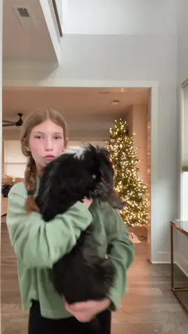 Maizy Mae’s first Christmas 🐾🎄!!!! #fyp #viralvideo #18 #fakebody #christmas 