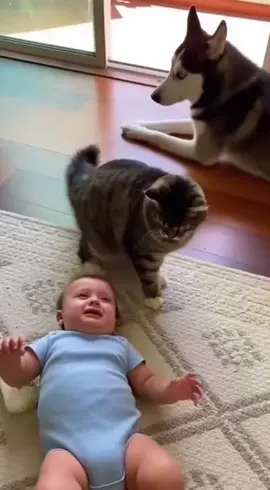 Cat got its punishment #baby #pets #cat 
