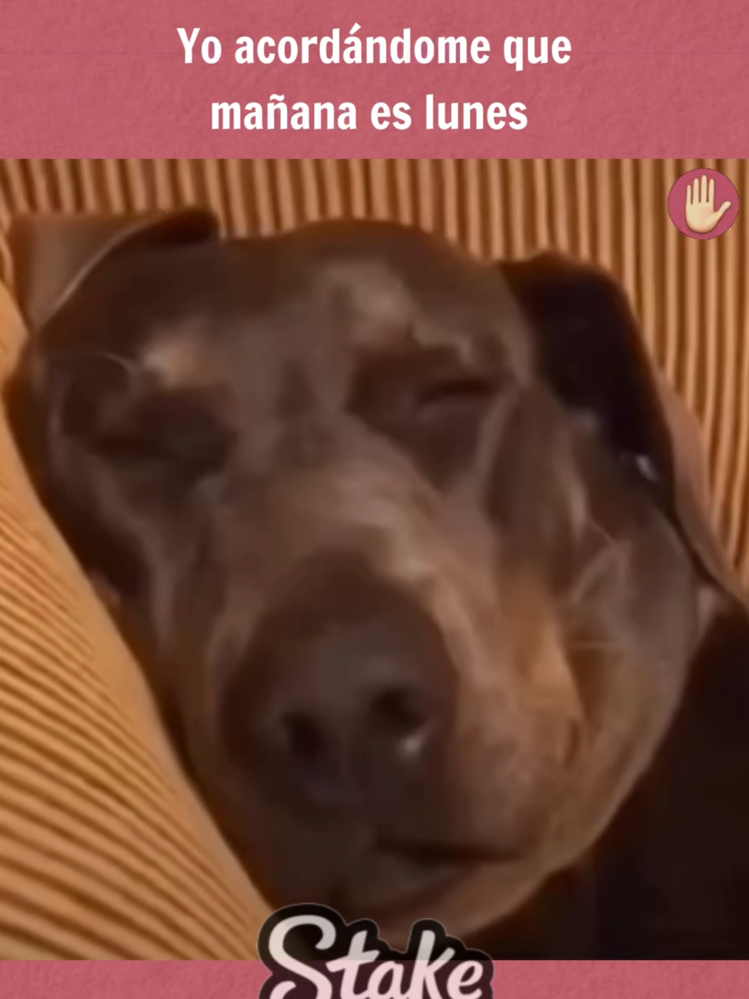 Yo acordardandome que mañana es lunes