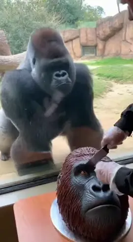 #trending #ai #viralvideo #foryoupage #growmyaccount 