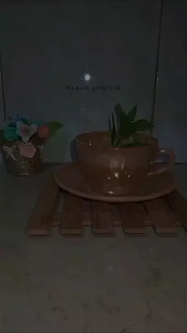 -  واكتب لنا يَ الله مقعداً في الجنه حتى اذا جلسنا،ضحكنا على ايام الدنيا المُتعبه كأننا لما نرى يوماً حزناً، ولم نحمل هماً أبداً🥹🤍🤍🤍🤍🤍🤍ً #تصويري #اكسبلور_تيك_توك #🌸🌸🌸  #أريحا_عروس_الشمال #اكسبلور 