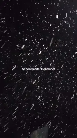Schon wieder Dezember ❄️ #december #winter #samra #fyp #viral 