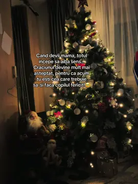 #fypシ゚v #moscraciun #sarbatorilevin🎅 #brad #🎄 
