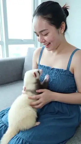 Dress Tali Wanita 💎💎💎💎💎