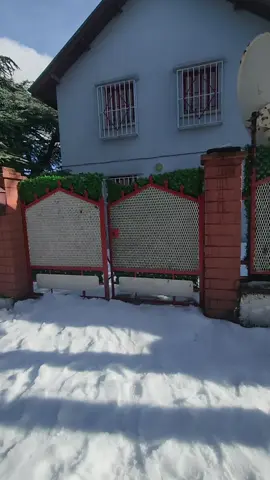 #الشعب_الصيني_ماله_حل😂😂 #explore #rai #algeria #viraltiktok 