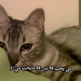 😕🙏🏻#مالي_خلق_احط_هاشتاقات🧢 #yyyyyyyyyyyyyyyyyyyyyyyyyyyyyy #fyp #meme #explore 