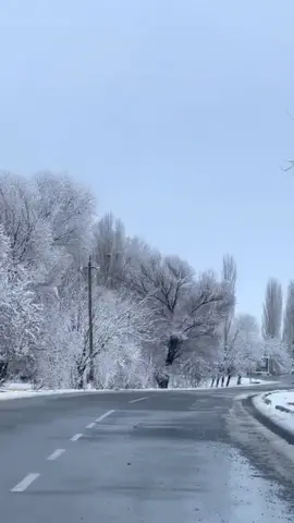 #keşfet #şerur🖤#keşfet 