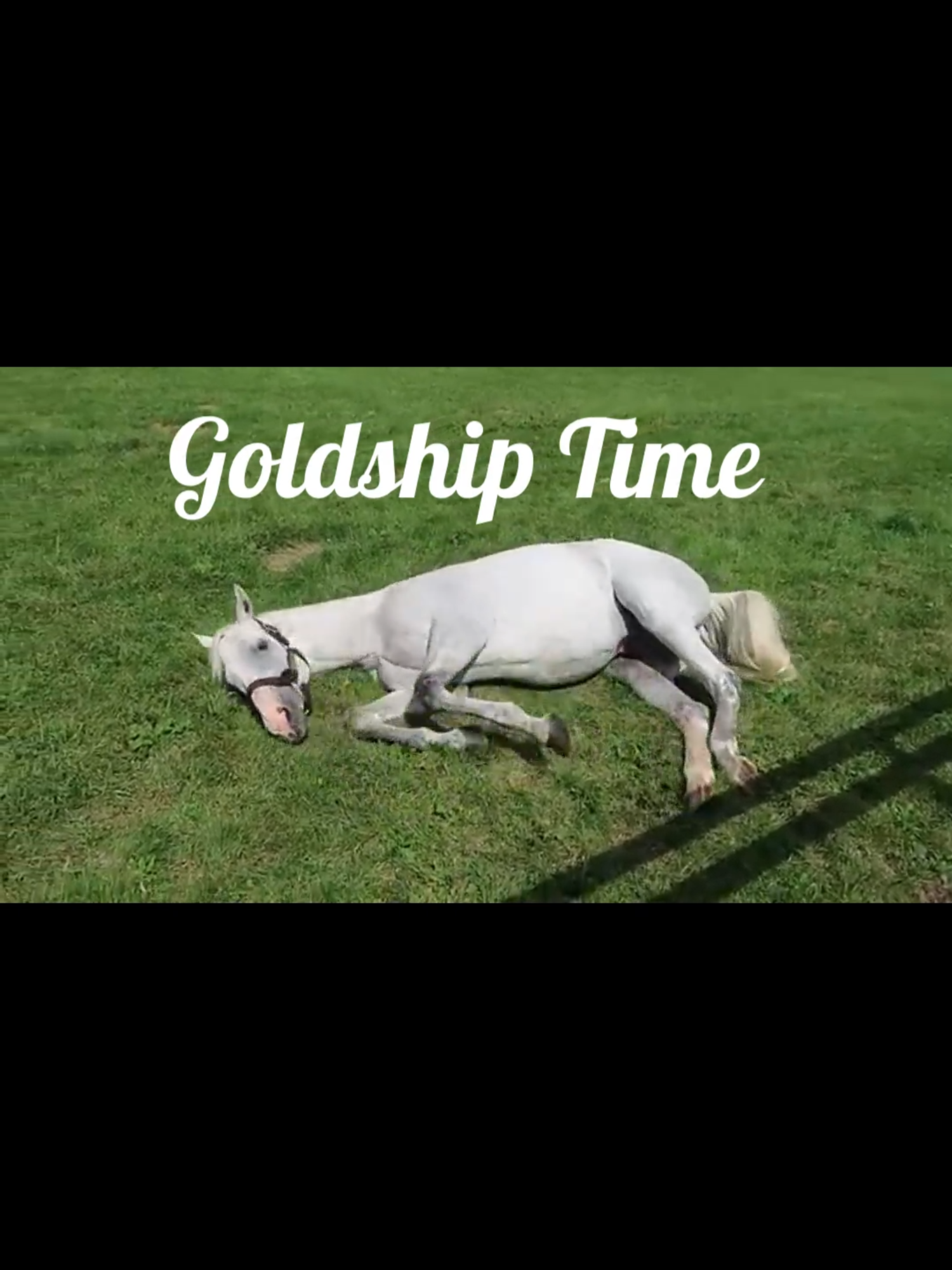 Goldship Time 🐴✨ #parati #fyp #goldship #umamusume #español . . psdt: no te olvides de seguirme ❤️