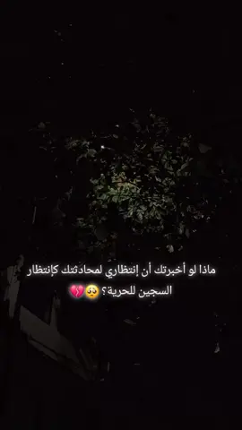 مدلل أمي  Møhamed Bîbîch 