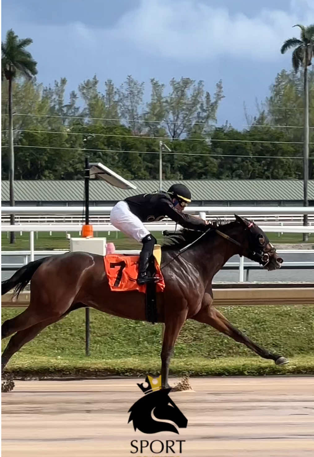 Madness leading em’ into the stretch ✨ #fyp #sokracing #sportofkings  