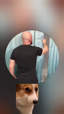 #автоприколы #приколы #авто 