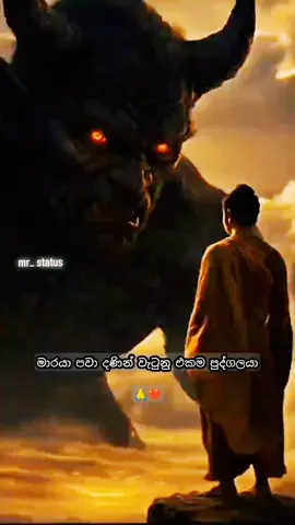 #srilanka🇱🇰  #srilankan_tik_tok🇱🇰  #kuwait_tiktoker🇰🇼  #loardbuddha  #buddha  දුක දැනුන! දුකට හේතුව තේරුණා!