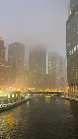 #chicago #fyp #winter #snow #snowstorm 
