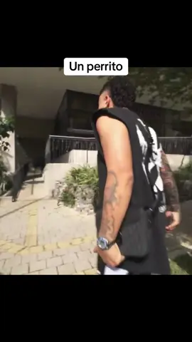 #mrstiventc #eidenclips 