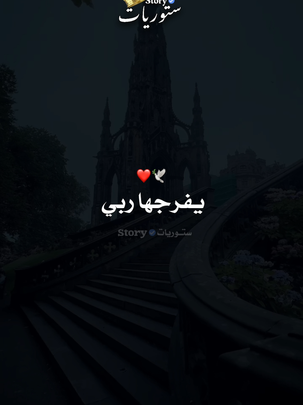 ربي يفرجها علينا كاملين ❤️🕊️ #viral #fyp #foryoupage❤️❤️ 
