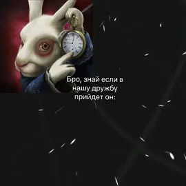 #CapCut @Sofka @Сонька🐇 @мопсик @ZxV_BlizZ @dwipsop4534 @Moon @pipidastr @d⊹ #кроликсчасами #заецсчасами #кот #дружба 