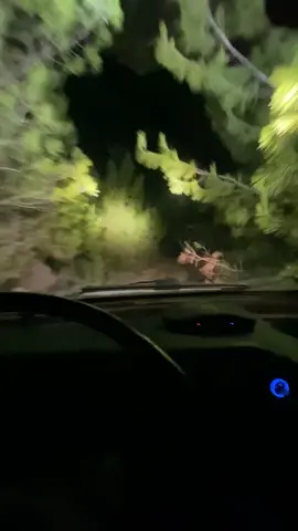 #fyp #12cruiser😂♥️ 