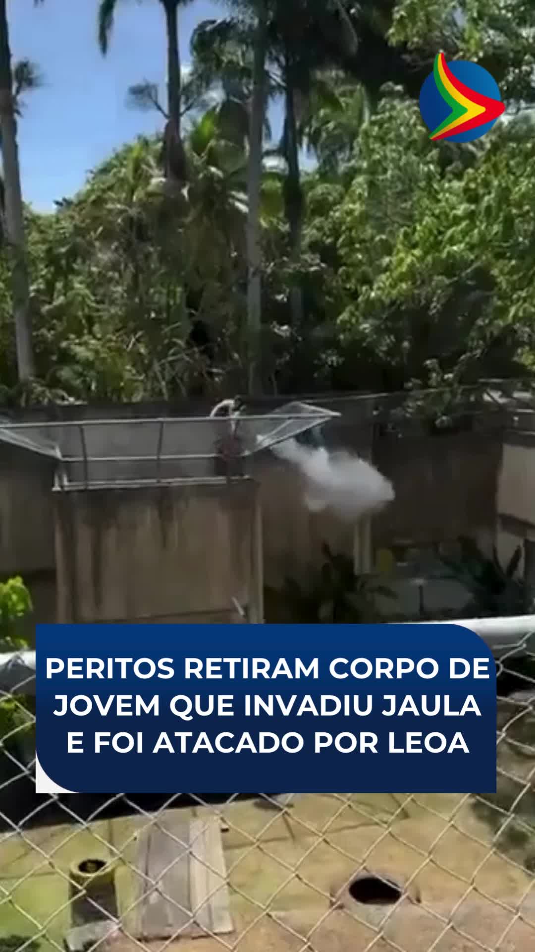 A perícia conseguiu entrar na jaula da leoa e retirar o corpo do jovem de 19 anos que morreu após ser atacado no Parque Zoobotânico Arruda Câmara, em João Pessoa, neste domingo (30). Em nota, a prefeitura afirmou que o parque cumpria todas as normas de segurança e que a equipe tentou afastar o animal antes do ataque. O espaço foi fechado para investigação, conduzida pela Secretaria de Meio Ambiente (Semam) e pela Polícia Civil. Na publicação, o município lamentou o ocorrido e prestou solidariedade à família da vítima. As autoridades informaram ainda que o jovem tinha mais de dez registros policiais e havia sido detido duas vezes na semana anterior. Segundo a Polícia Civil, ele já havia sido encaminhado para acompanhamento psicológico. 📹: Reprodução/Redes sociais #leoa #joãopessoa *oh *digital #digital