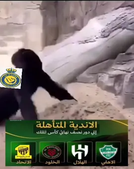 وضع النصرواي الحين 😂😂 #اكسبلور #foryou #النصر #fyp #الشعب_الصيني_ماله_حل😂😂 