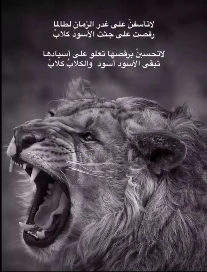 #الشعب_الصيني_ماله_حل😂😂  #حمو  #شبين_الكوم_بلدنا🌎🔥  #ÃĤṂẸĎ_ĤÃŻẸṂ 