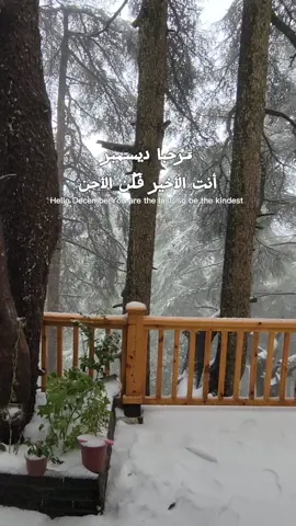 #CapCut #algeria #wintervibes 