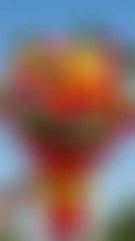 feliz y bendecido 1 de diciembre  #paratiiiiiiiiiiiiiiiiiiiiiiiiiiiiiii 