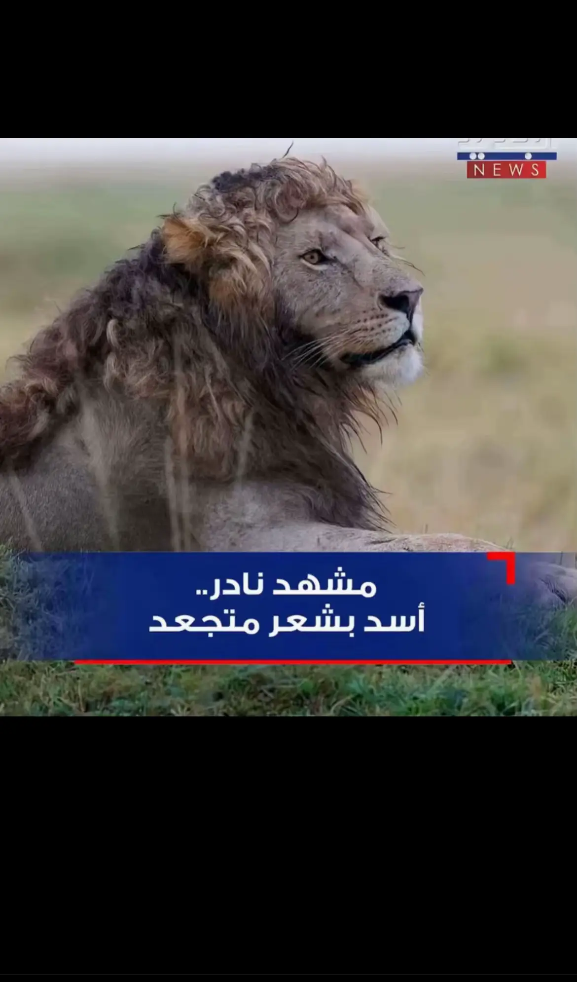 #fyp #Biceps #foryoupage #explore #jeddah 