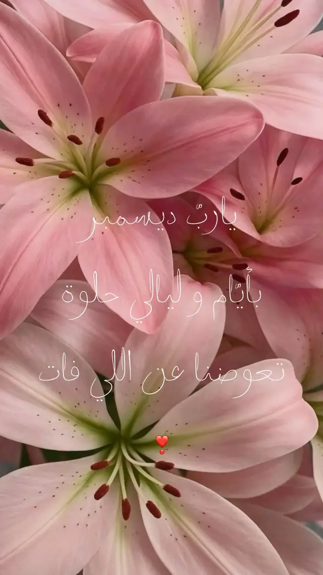 #explore #fyp #tiktok 